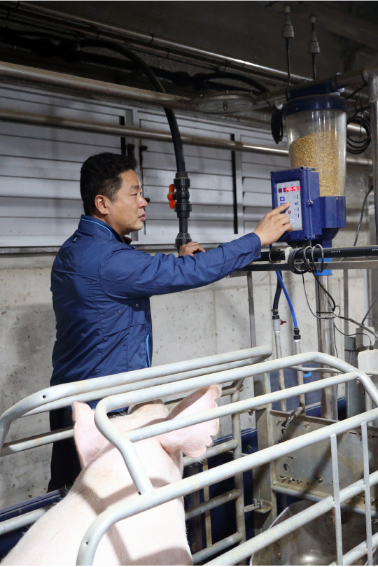 21일 전남 나주시 한 돼지농장에서 농장 관계자가 사료를 자동으로 공급하는 정보통신기술(ICT) 장치를 조작하고 있다.  연합뉴스